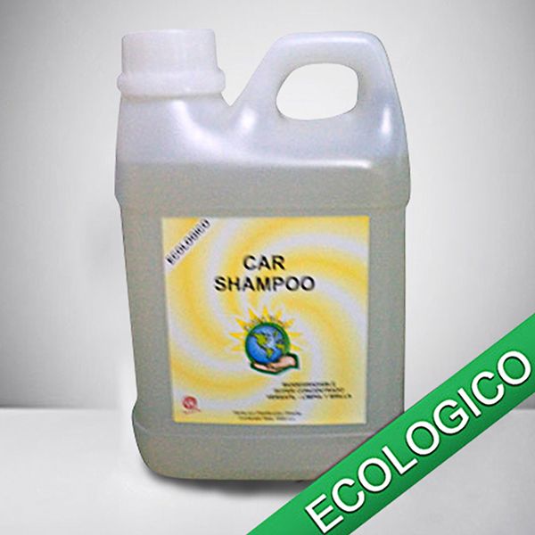 car-shampoo ecology world